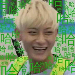  这表情包有毒扒一扒那些由艺人变成网红表情包的明星们,撕逼必备,让你所向披靡