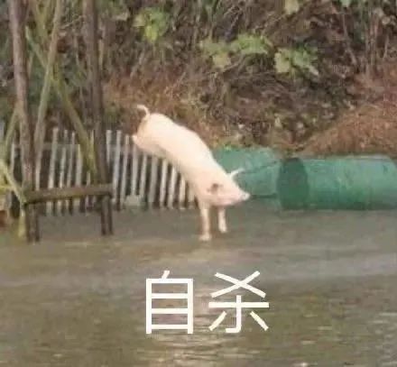  微信沙雕聊天表情包这座城又多了个伤心的人