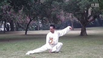 简化太极拳