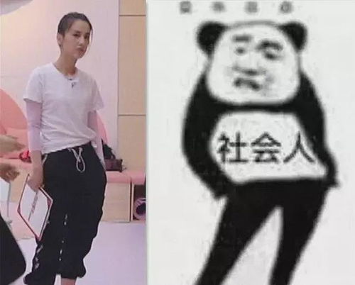 社会人站姿表情包熊猫