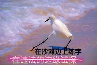  在违法的边缘试探原图在违法的边缘试探表情包
