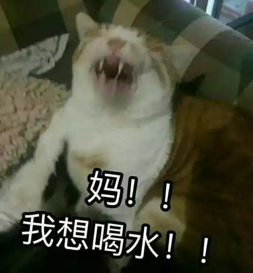  爸,我妈呢
