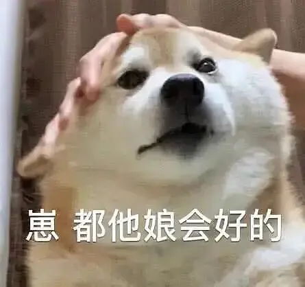  大懒x小懒的相册哈哈哈表情包