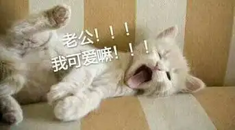 老公要抱抱表情包小鱼干