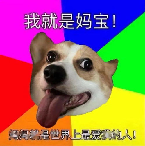  搞笑沙雕表情包真是乌龟办走读,鳖不住校了