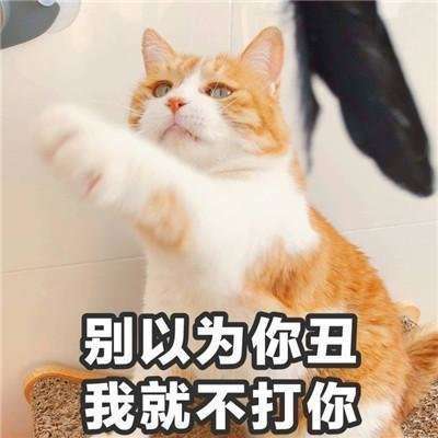  抖音小哥哥聊天吗表情包大全一言不合就开撩