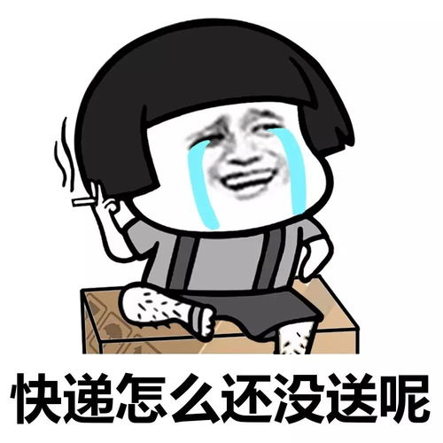  表情丨单身狗们无聊的时候都在做什么今日动图彩虹蘑菇头