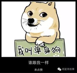  张翰古力娜扎合体破分手传言李晨范冰冰虐狗秀恩爱