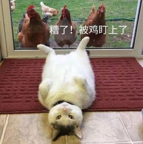  24小时全方位监视