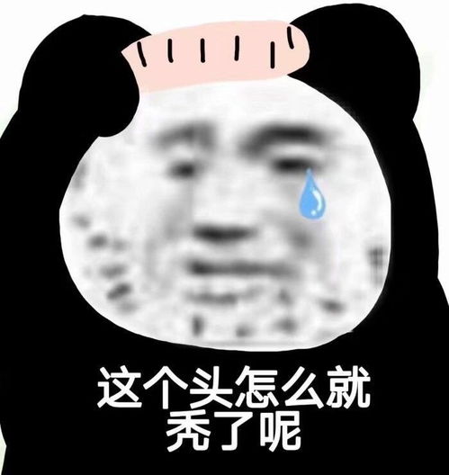  表情包他心里只惦记着那个