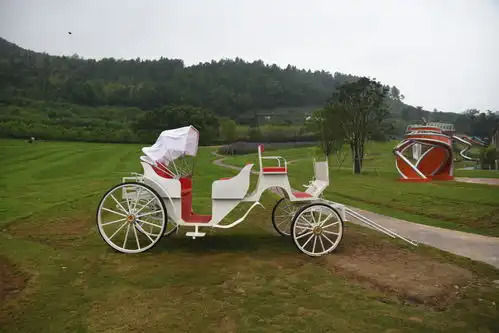 雁荡山下又一网红打卡点铁定溜溜,溜无限很有趣 雁荡山下又一网红打卡点铁定溜溜,溜无限很有趣