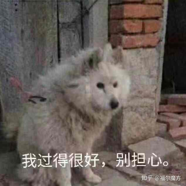  有没有朋友圈名媛拼团的沙雕文案