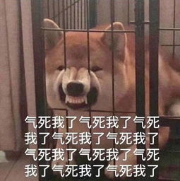  气死我了表情包气死我了微信表情包气死我了qq表情包发表情fabiaoqing.com