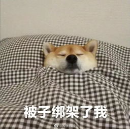  理院小确幸小理完全过冬攻略
