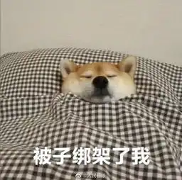 理院小确幸小理完全过冬攻略 理院小确幸小理完全过冬攻略