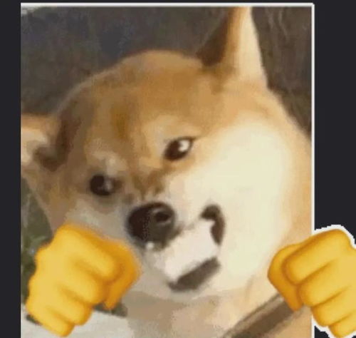 哈皮狗表情包猫叫