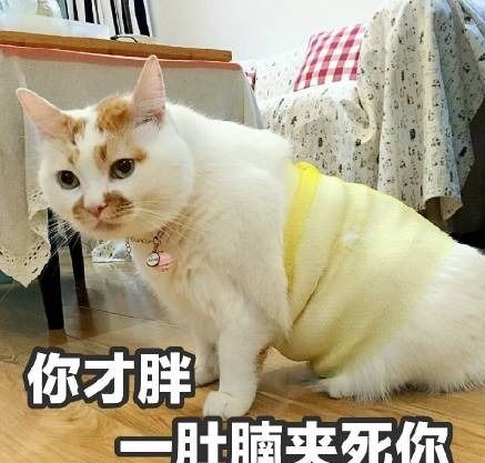  抖音自黑自己很胖的表情包分享