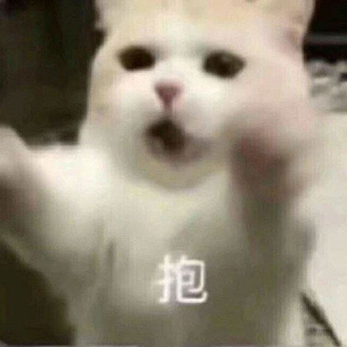  可爱的要抱抱表情包合集