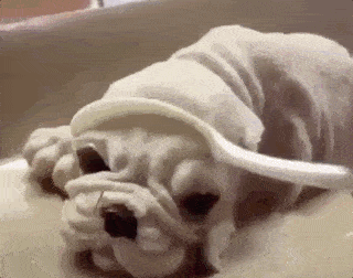 朋友圈千万不要设置三天可见哈哈哈哈哈哈哈哈哈哈哈哈笑到抽筋 朋友圈千万不要设置三天可见哈哈哈哈哈哈哈哈哈哈哈哈笑到抽筋