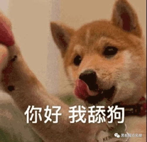  dy无情捞金机器打擂台二人转替妹妹心疼,却不想中圈套成atm工具人