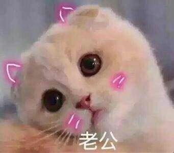 扯衣服撒娇表情包 扯衣服撒娇表情包