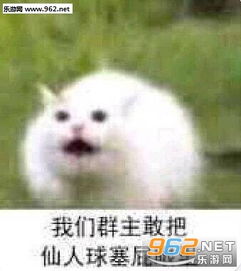  我们群主也敢表情包我们群主敢日电风扇表情包图片下载乐游网游戏下载