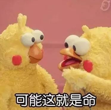 奇葩动物展再次袭来,数万只蝴蝶翩翩起舞看完让人吐血