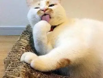 幽默笑话老婆,你太胖了,你要是再瘦一点儿,就可以钻进钱眼里了 幽默笑话老婆,你太胖了,你要是再瘦一点儿,就可以钻进钱眼里了