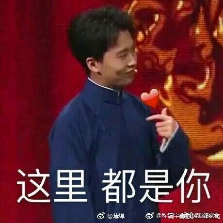 德国表情包德云社
