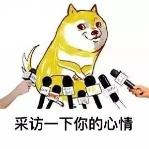  别急双十一还没结束