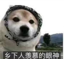  求一下乡下人羡慕的眼神表情包,没水印的谢谢