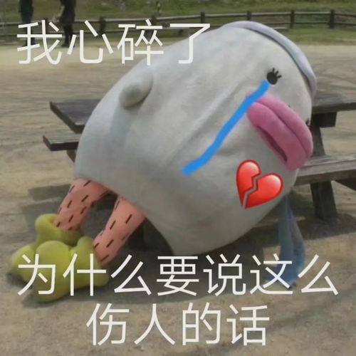  表情包丨今天也是快乐的一天