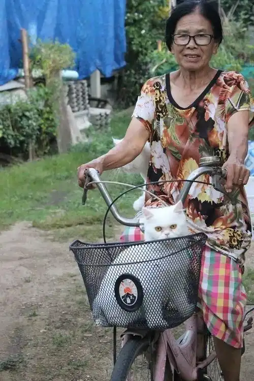 旅游愉快表情包骑自行车