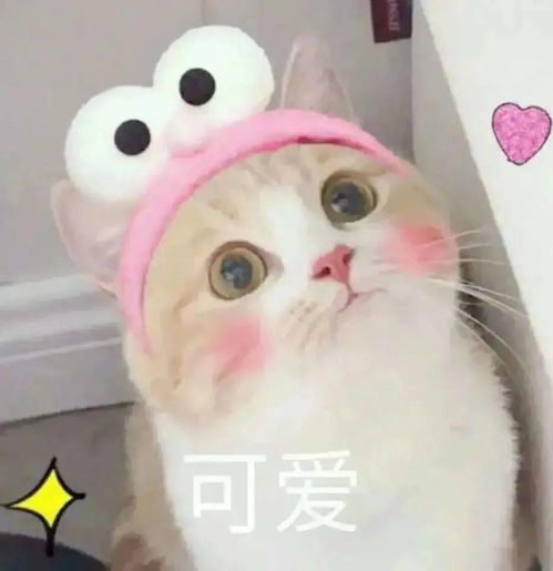  叮咚你收到了一份学生会的邀请函