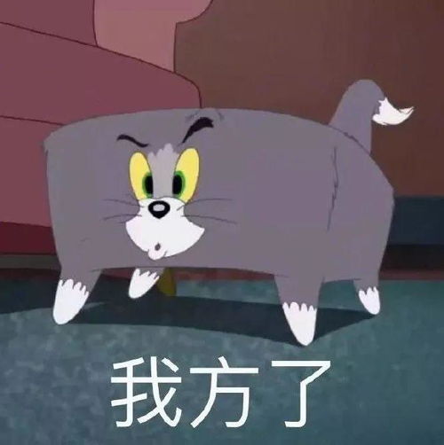 一组超级可爱的猫和老鼠表情包,喜欢的快抱走
