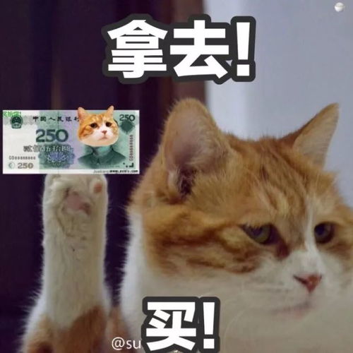 黑脸小可爱的表情包零花