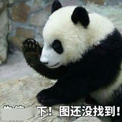 抖音最火表情包熊猫阴阳