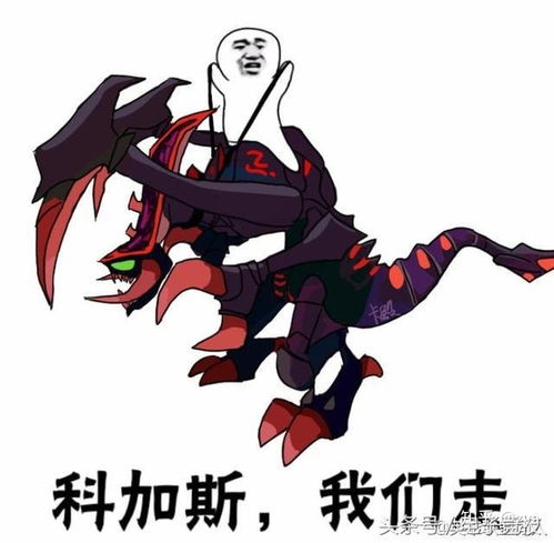  皮皮虾是什么段子男生叫女生皮皮虾是什么意思是说我很皮吗
