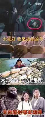  三生三世大结局这里有三生豪华表情包买夜华假发素素白绫的朋友是要干嘛