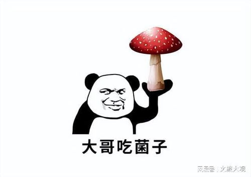蓝瘦香菇图片表情包菌子