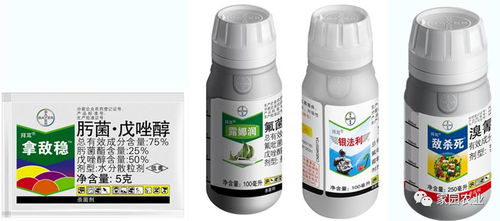  葡萄采后管理要点