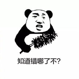  最有意思的表情包来了,这次我是认真的