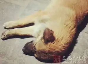 女子抱这物睡觉一个月惹病上身1 女子抱这物睡觉一个月惹病上身1