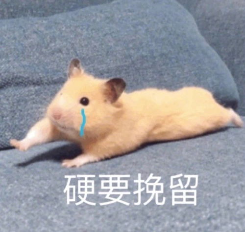 表情包分享大声的笑出来,就没有这么害怕了腾讯新闻 表情包分享大声的笑出来,就没有这么害怕了腾讯新闻