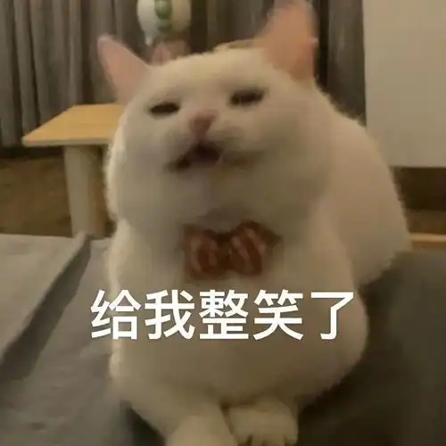 表情包美就对了,钱算个屁 表情包美就对了,钱算个屁