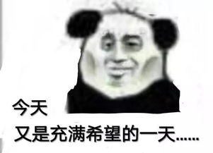 熊猫膨胀表情包熟人