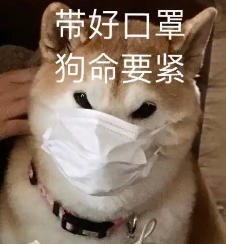 主人甲流卧床三天,醒来发现狗狗给自己办了场隆重的葬礼,全网夸孝子 主人甲流卧床三天,醒来发现狗狗给自己办了场隆重的葬礼,全网夸孝子