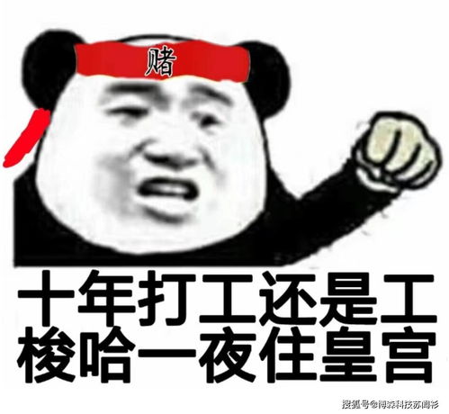  推特ceo购买价值30亿美元比特币