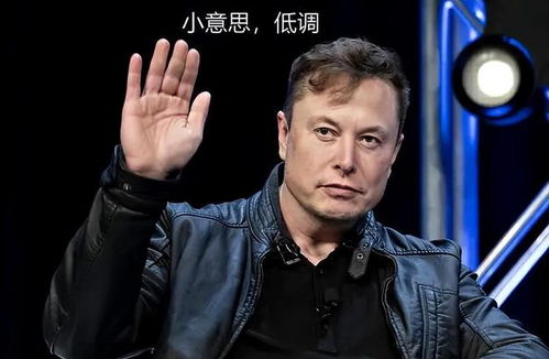  拜登发表演讲谈退选,哈里斯称特朗普向独裁者低头不配做美总统