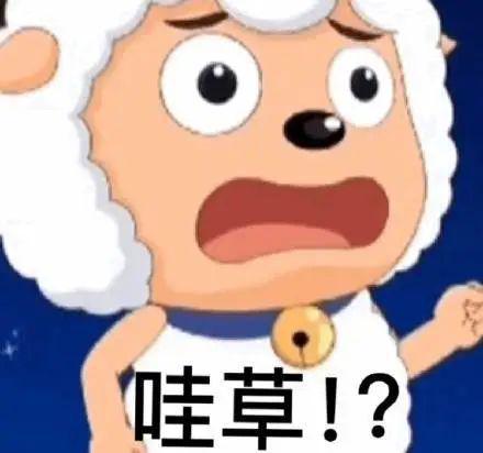  千古奇冤獭兔拍手被裁判追加技犯怀斯曼下放发展联盟